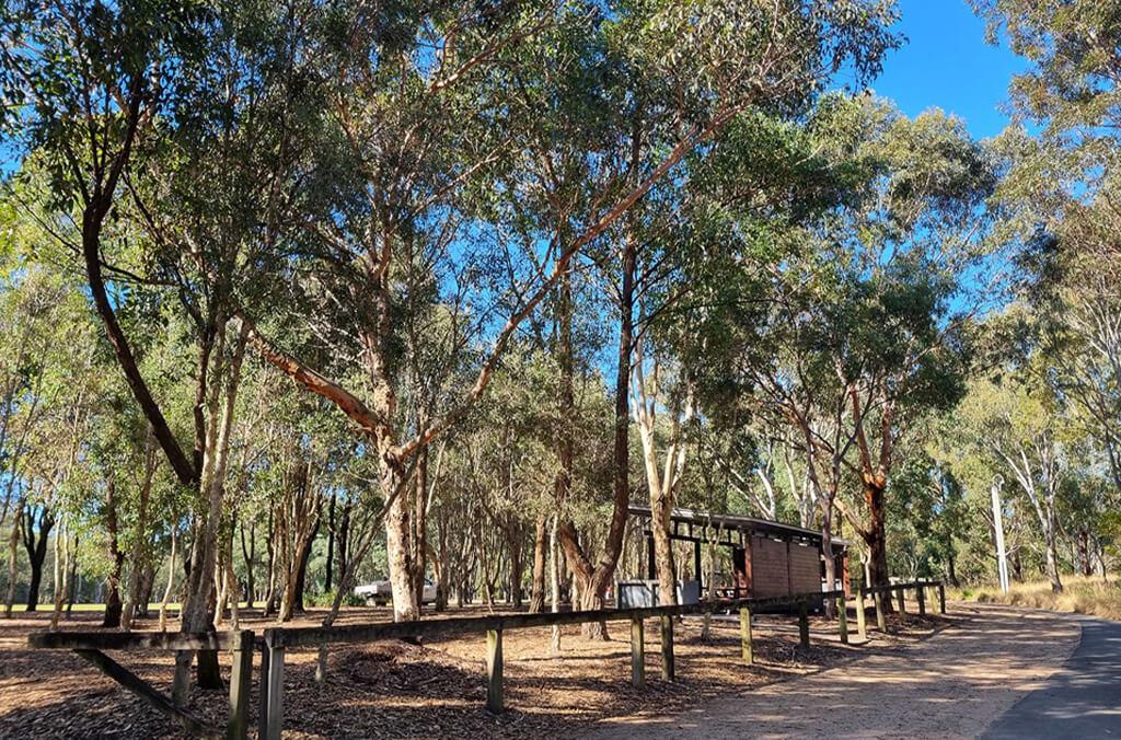 Tree Frog Pavilion, Wentworth Common