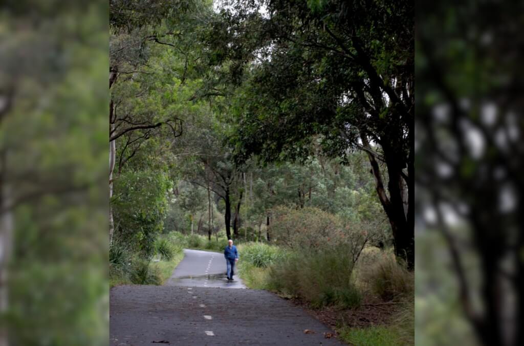 Person in blue clothing walking away on a paved path through a forested area with tall trees and dense vegetation.